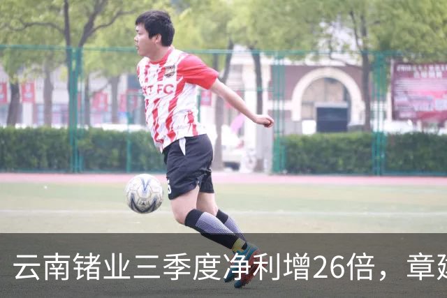 云南锗业三季度净利增26倍，章建平无惧回调逆市增仓近300%