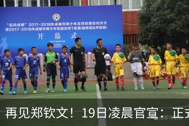 再见郑钦文！19日凌晨官宣：正式退出，赛季提前结束，孙心然入围