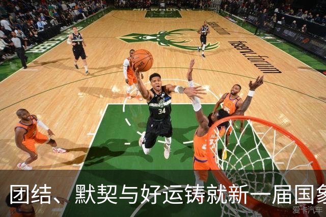 团结、默契与好运铸就新一届国象奥赛女团冠军
