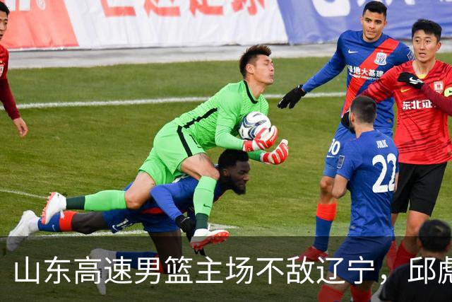 山东高速男篮主场不敌辽宁，邱彪赛后评价法耶：无可挑剔