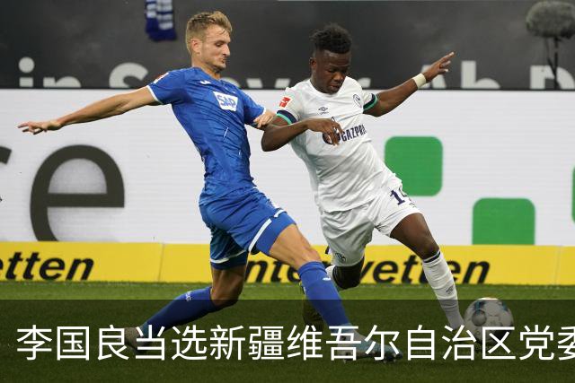 李国良当选新疆维吾尔自治区党委常委