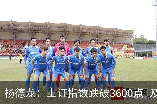 杨德龙：上证指数跌破3600点 及时出台强有力稳市场措施至关重要