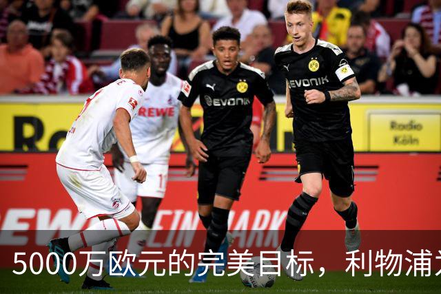 5000万欧元的完美目标，利物浦为何被曝缺席争夺
